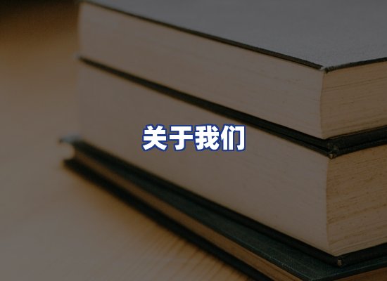专业团队